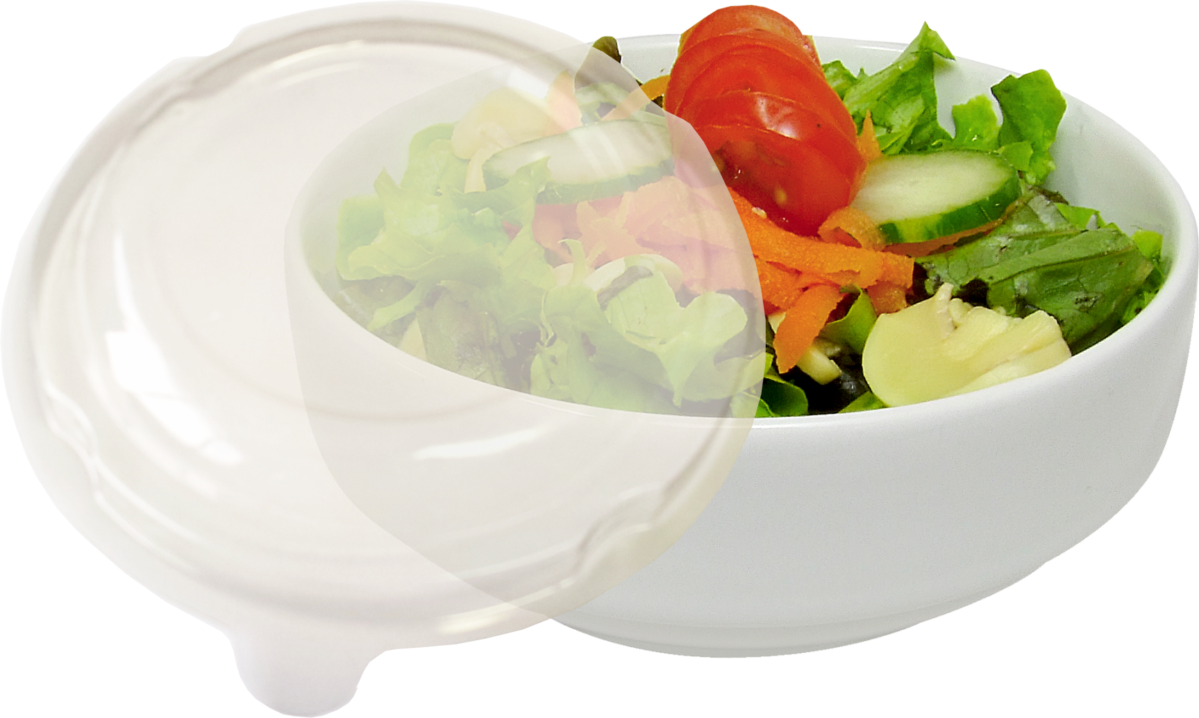 TAMPA DA SALADEIRA OX